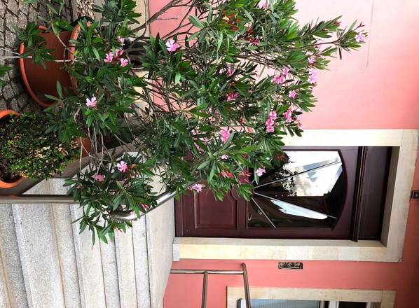 Detalhe da fachada
