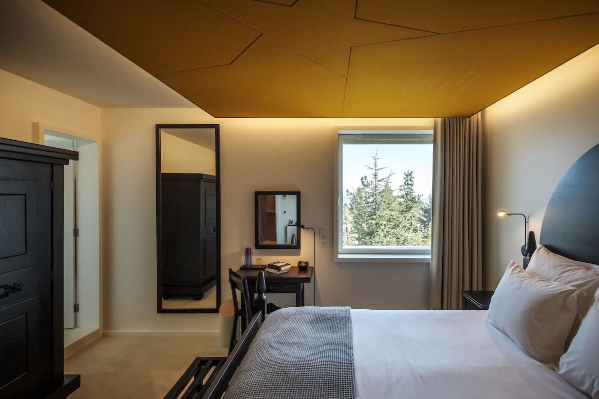A hotel room with a bed, a desk, a chair, a wardrobe, and a window with a view of trees.