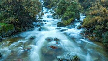 Ein Fluss, der durch eine bewaldete Landschaft mit Felsen und Bäumen fließt.