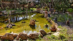 Un jardín con un estanque, rocas y plantas en macetas.