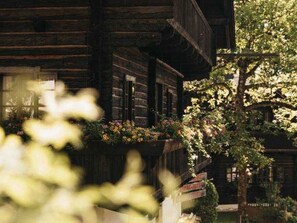 Uklassifisert bilde, 3 av 46, knapp