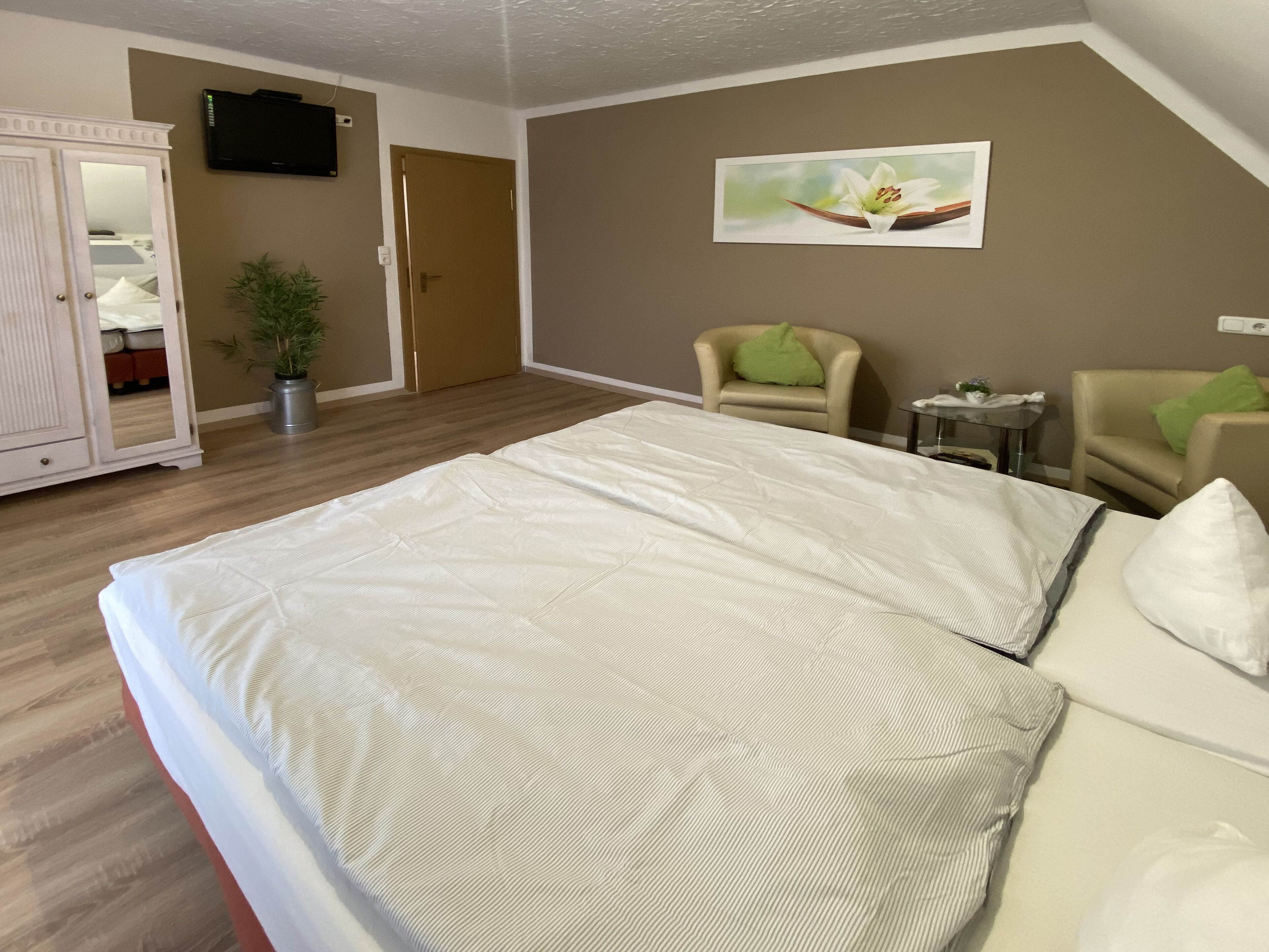 A hotel room with a large bed, a wardrobe, a television, a green plant, and two chairs.
