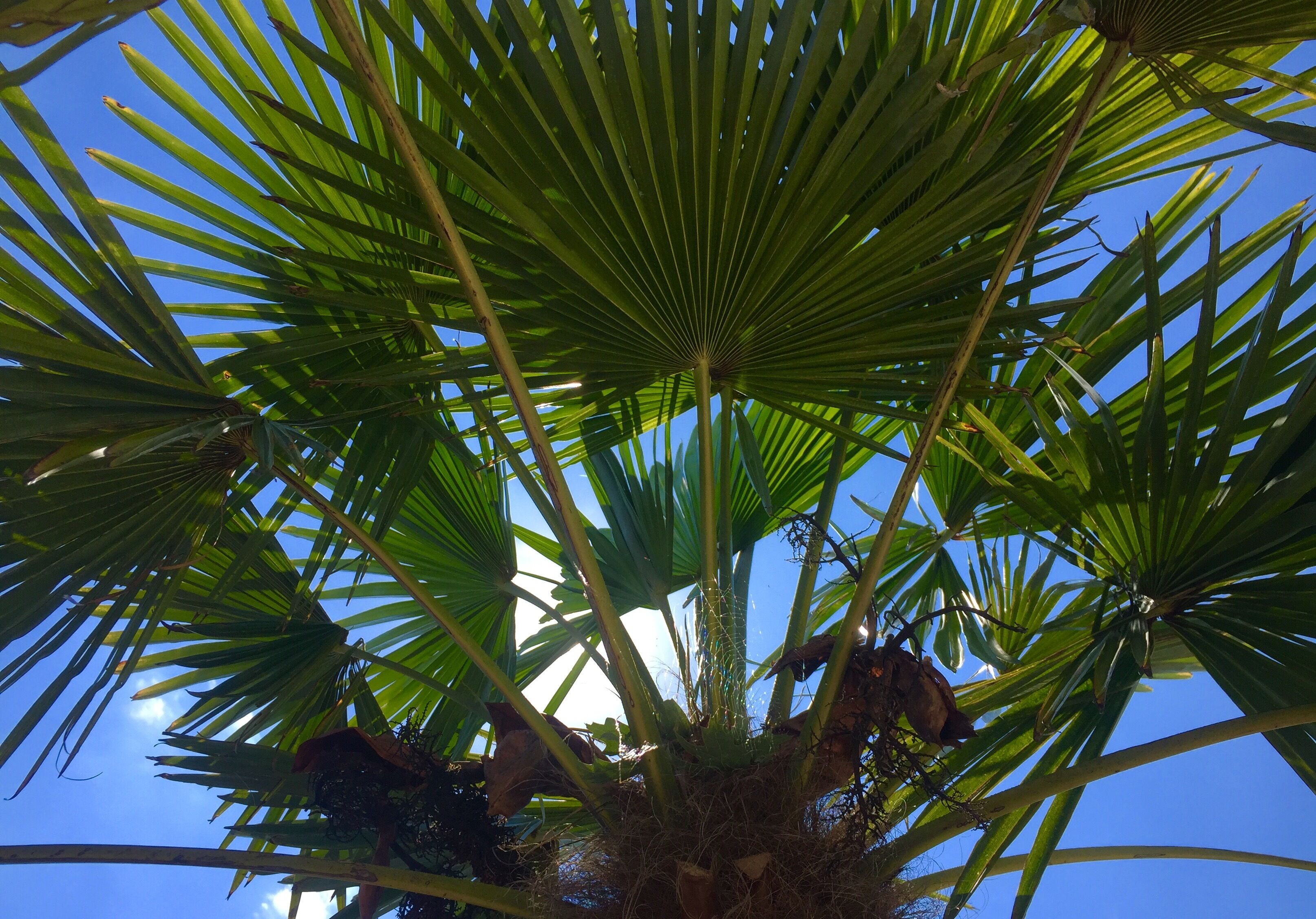 Foto - Wilsmann Apartmentvermietung