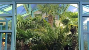 A greenhouse with a glass roof, containing various potted plants.