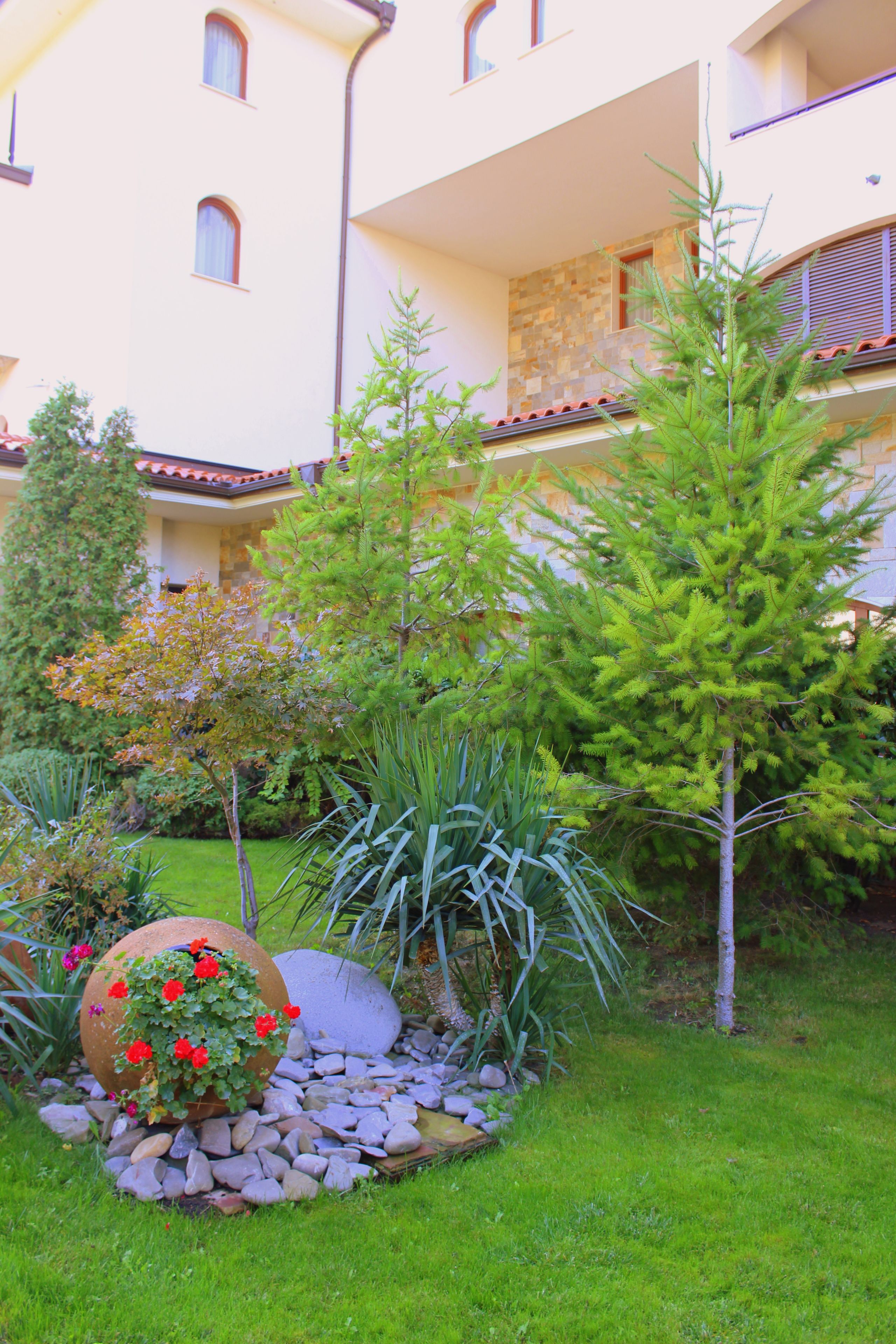 Un patio con diversas plantas, una roca decorativa grande y un edificio con múltiples ventanas y balcones.