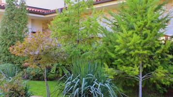 Un patio con diversas plantas, una roca decorativa grande y un edificio con múltiples ventanas y balcones.