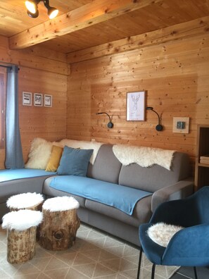 Una televisión, una chimenea, un reproductor de DVD