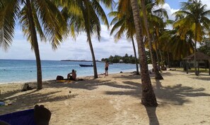 A beach with palm trees, a clear sky, and a calm sea.
