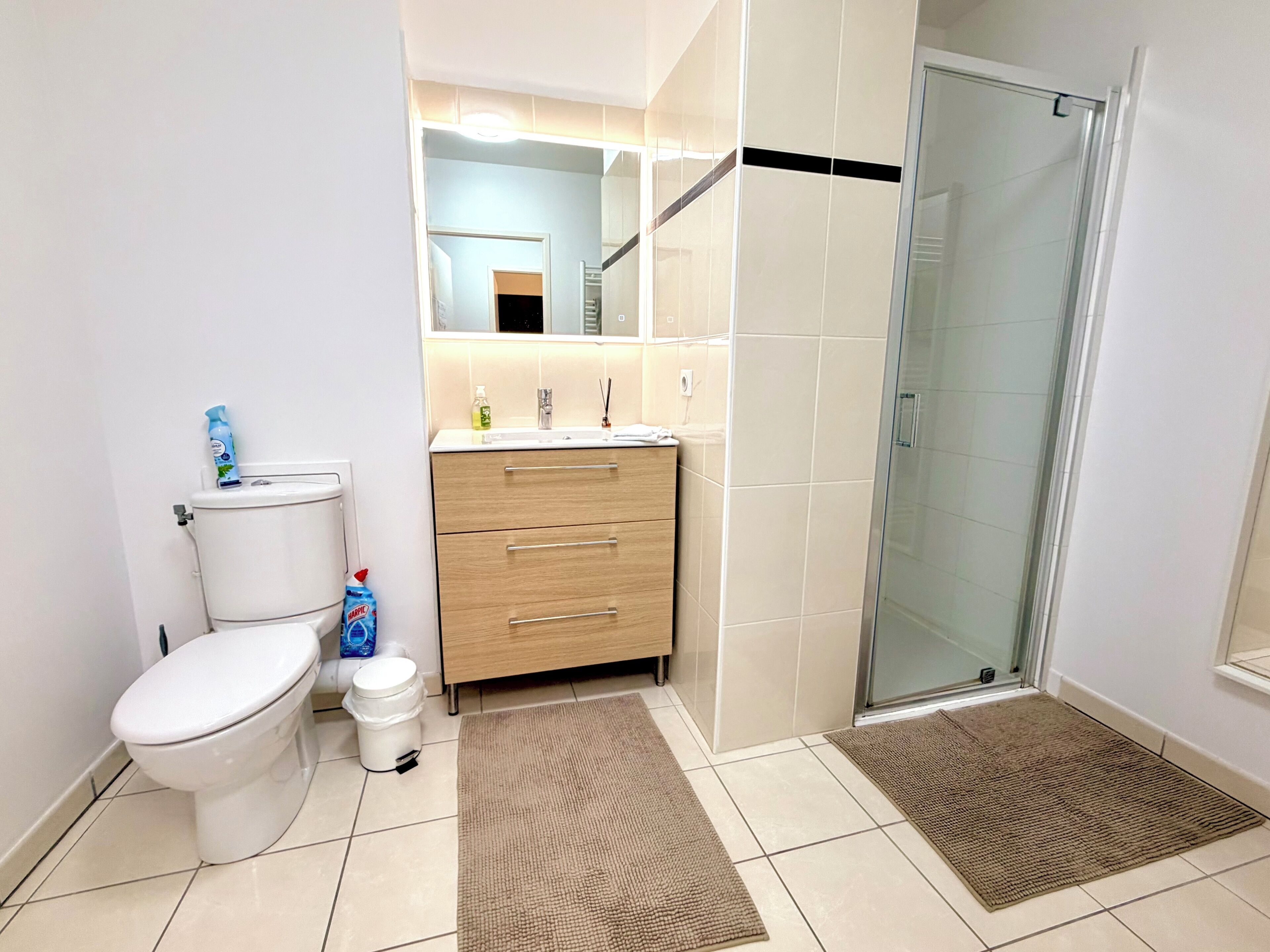 Une salle de bain comprenant des toilettes, un lavabo avec un miroir, une douche avec des portes en verre et un petit tapis sur le sol.