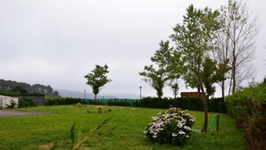 Une zone herbeuse avec des arbres et un petit bâtiment.