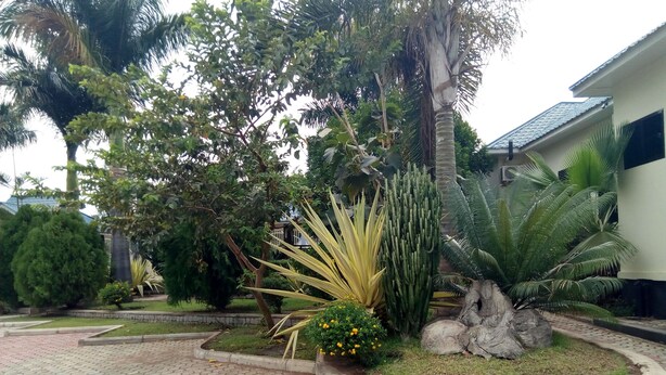 Un área de jardín ajardinada con diversas plantas, un sendero de piedra y un edificio con techo de tejas.