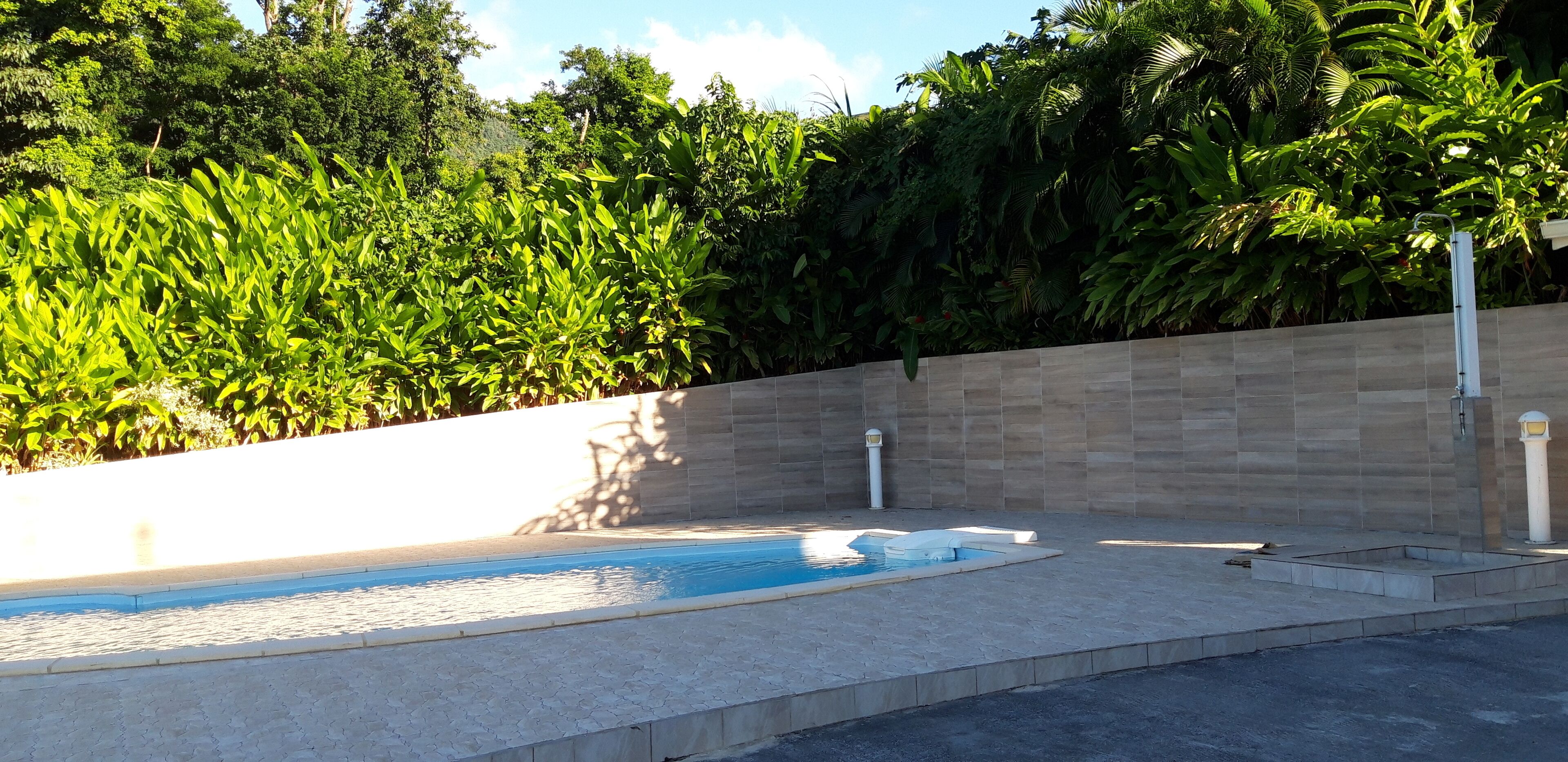 Une piscine dotée d’une terrasse carrelée, entourée d’un petit muret en briques et d’une végétation luxuriante.