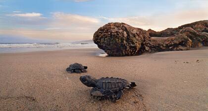 Brand New-San Pancho Vacation Suites - Ătapes de luxe modernes Ă la plage!
