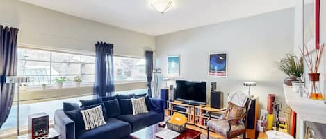 TV connectée, cheminée, lecteur de DVD, livres
