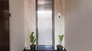 Un ascenseur aux murs de marbre, avec deux plantes en pot à sa base.