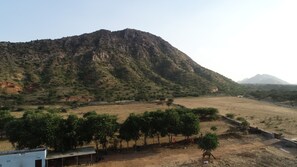 Aerial view - parvat valley resort pushkar (Pushkar)