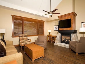 TV, fireplace, DVD player, computer monitors