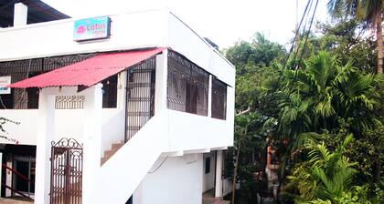The Lotus Home Bed and Breakfast