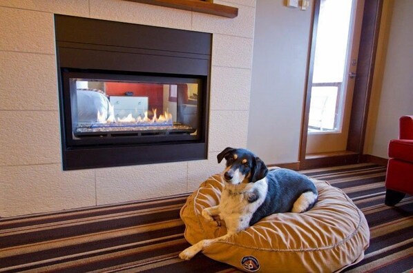 A dog resting on a bean bag chair in front of a fireplace.