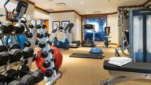 A well-equipped gym with various exercise machines, dumbbells, and a treadmill.