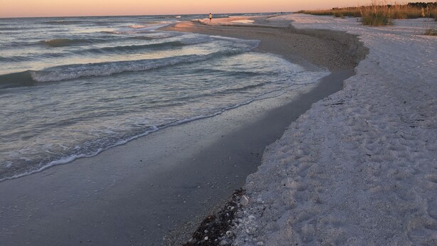 A beach with waves, sand, and sparse vegetation. - Stunning Beachfront Condo in Gated Community (Marco Island)