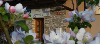 Dom Vita - Modern guest house for large families and groups