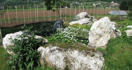Dom Vita - Modern guest house for large families and groups