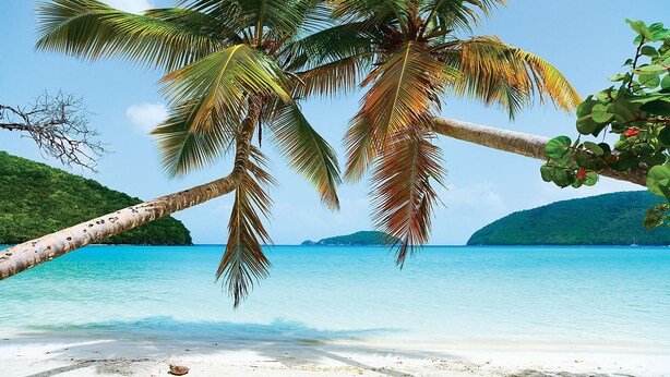 Una playa con aguas turquesas cristalinas, palmeras y una isla distante.