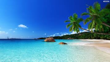 Beach nearby, sun-loungers, beach towels