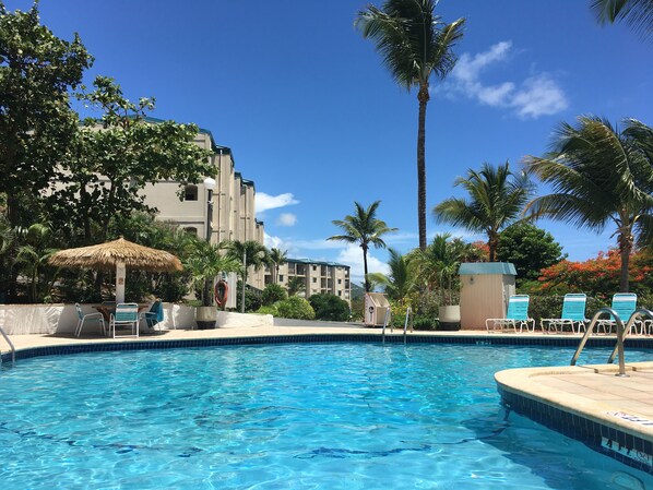 A swimming pool with lounge chairs and palm trees, surrounded by buildings.