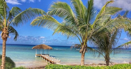BEACHFRONT w/ Private Dock-50 ft Pool-Theatre