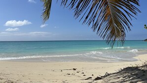 Ein Strand mit klarem türkisblauem Wasser, sandigem Ufer und üppigen Palmenblättern.
