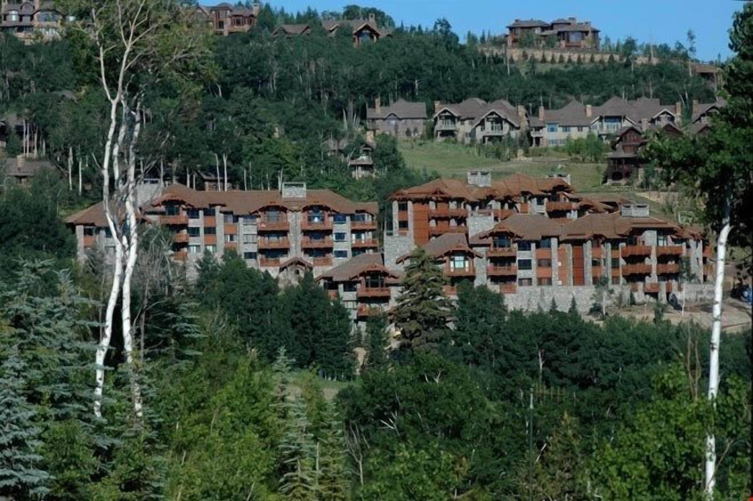 A cluster of multi-story buildings with balconies, surrounded by dense forest.