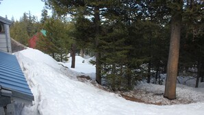 A snowy landscape with a building and trees. - Spacious Mountain Retreat, great for groups & families (Arnold)