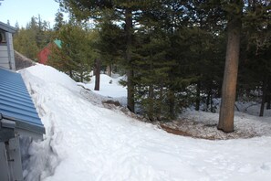 Escape to a serene winter wonderland surrounded by snow-covered trees and a cozy cabin with a blue roof.