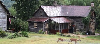 One of a kind historic farmhouse 10 minutes from Tryon Equestrian. Speaks French