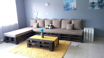 TV, DVD player, music library, video library