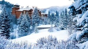 Un chalet enneigé composé de plusieurs bâtiments, entouré d’une forêt dense de conifères.