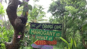 A multi-directional signpost with various destination labels, surrounded by lush greenery. - Ocean View And Breezes, Quiet 1 Bedroom, 1 Bath Private Guest Cottage On 1 Acre (Christiansted)