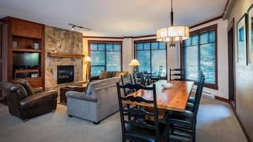 Televisión, chimenea y reproductor de DVD