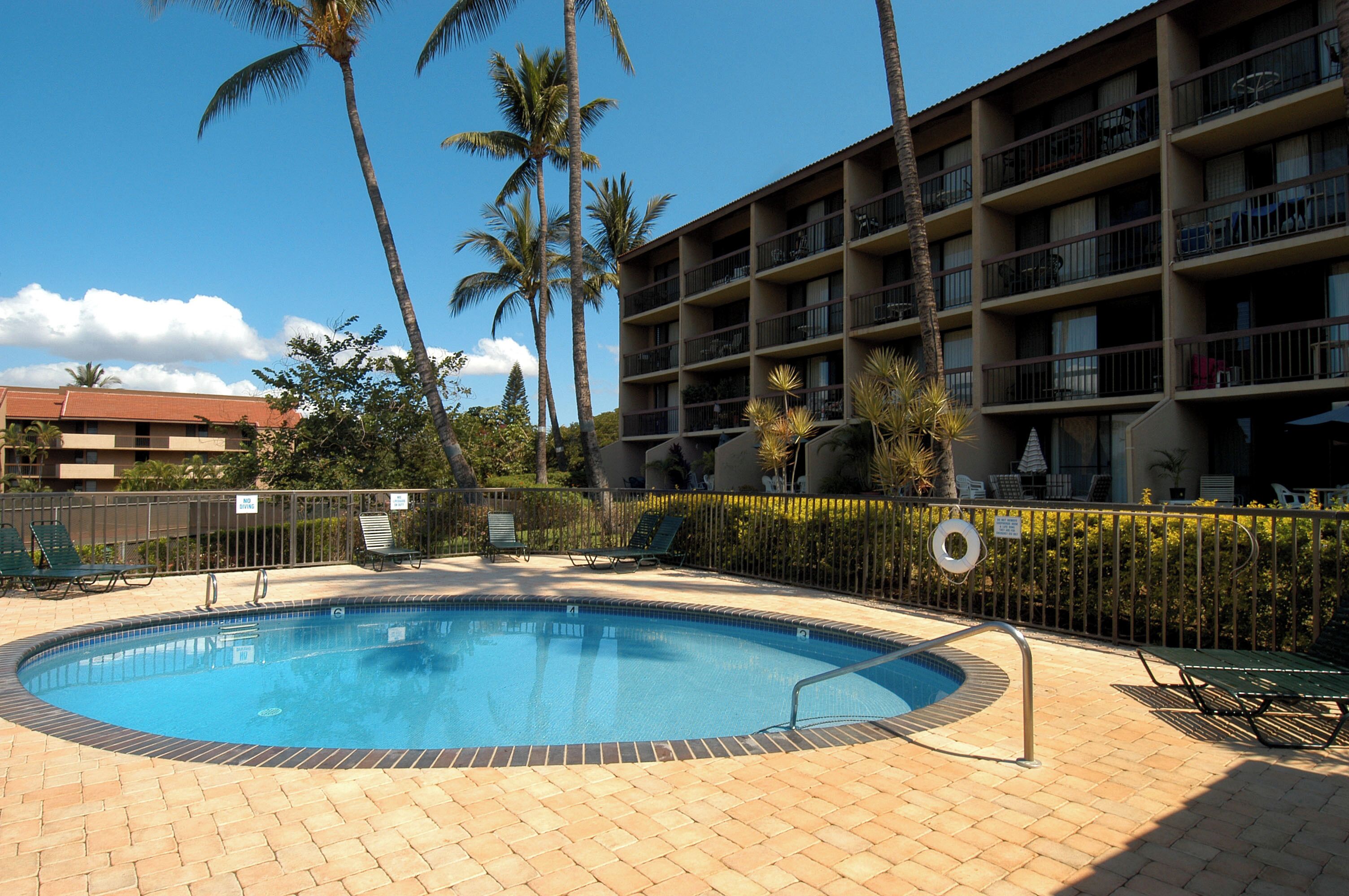 A swimming pool with lounge chairs and palm trees, surrounded by a fence and a multi-story building with balconies.