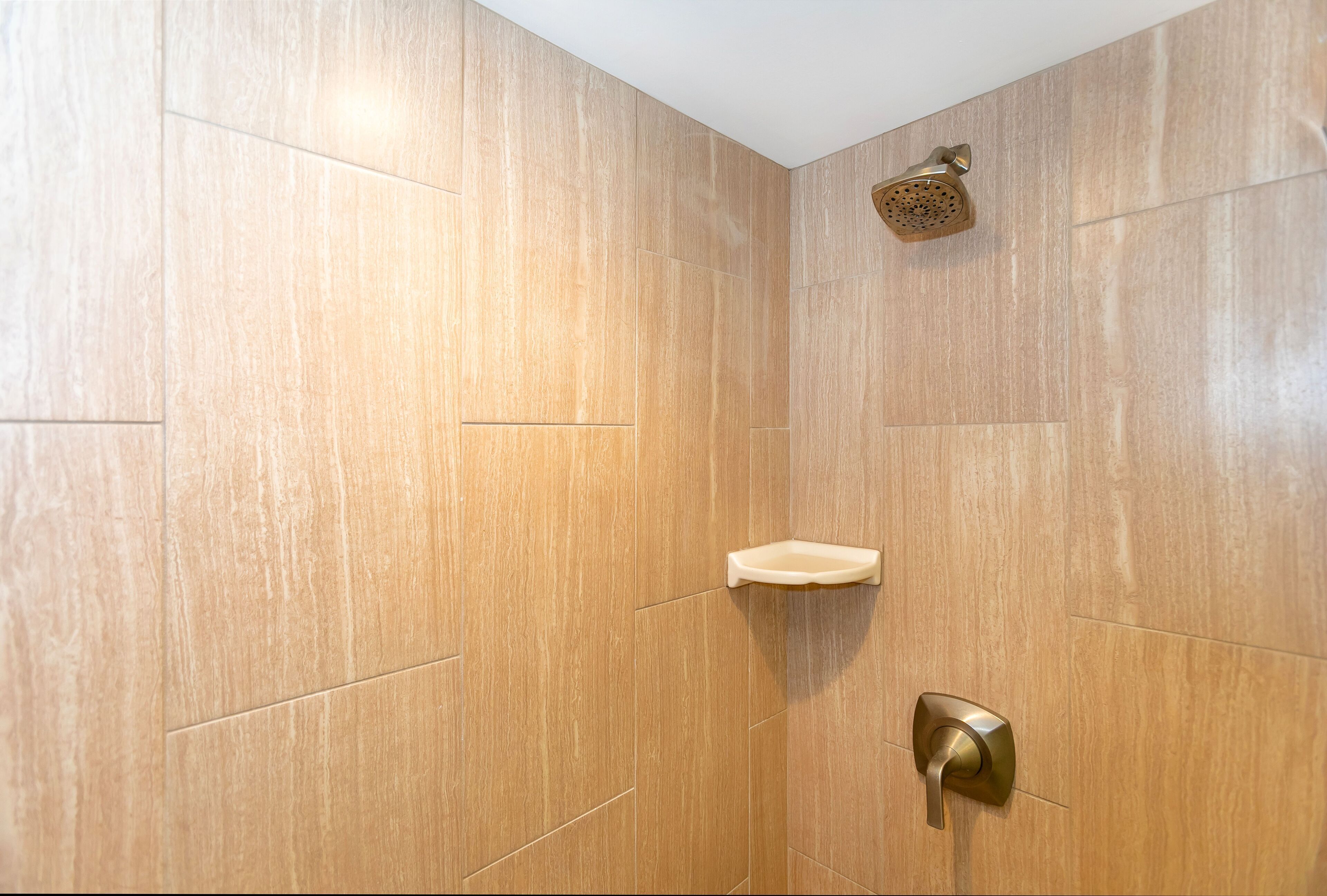 A shower with a handheld showerhead and a wall-mounted soap dish.