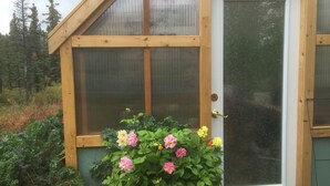A wooden greenhouse with a glass door, surrounded by lush greenery and flowering plants.