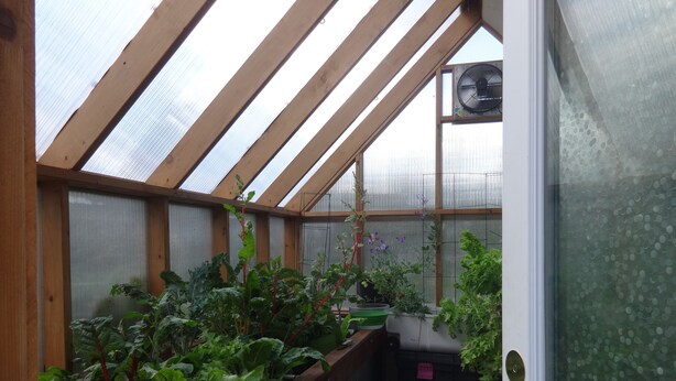 A greenhouse with wooden beams, a fan, and various plants.