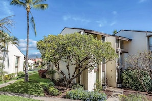 Exterior - Hale Kamaole 150 | Ground-Floor Ocean View, Lanai, King Bed, Split A/C, Sleeps 4 (Kihei)