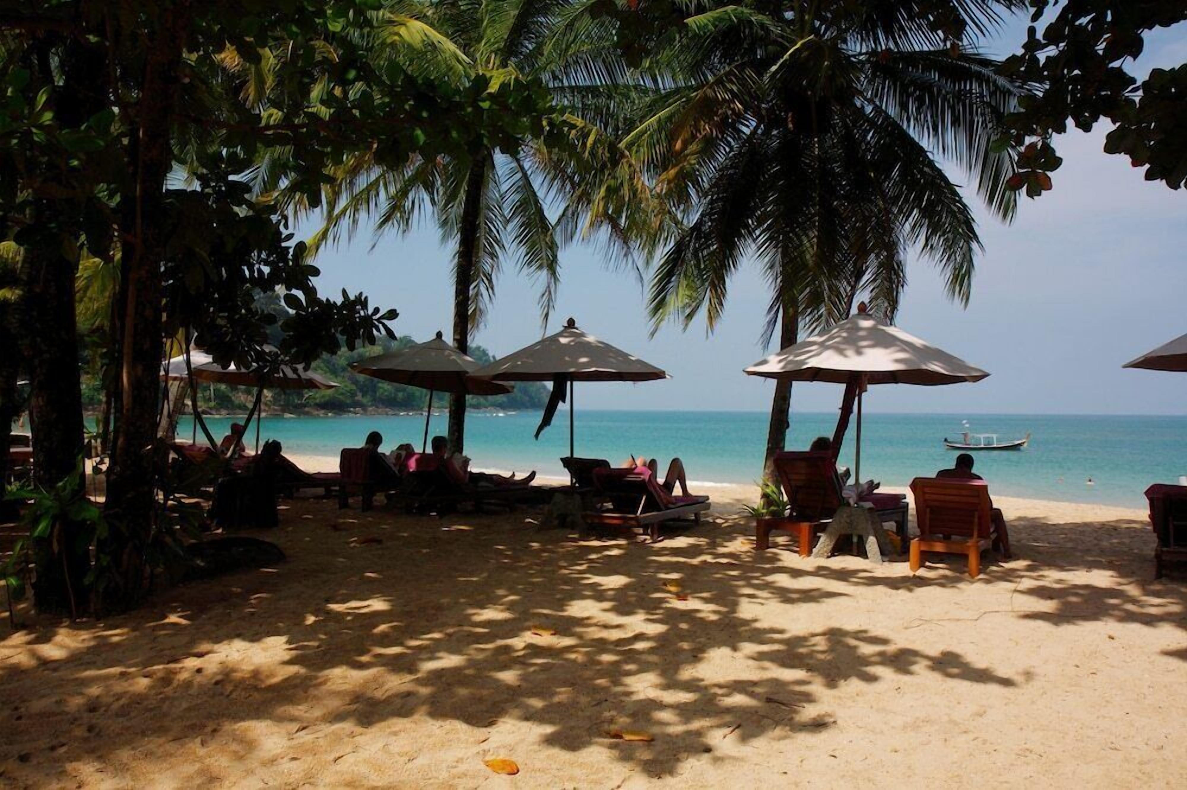 A beach with palm trees, sun loungers, and umbrellas.