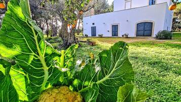 Facciata della struttura