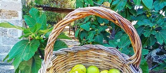 Masseria Fracchicchi