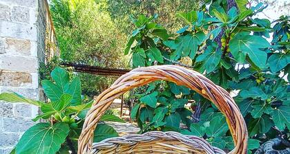 Masseria Fracchicchi