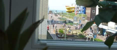 Vista des de l'allotjament